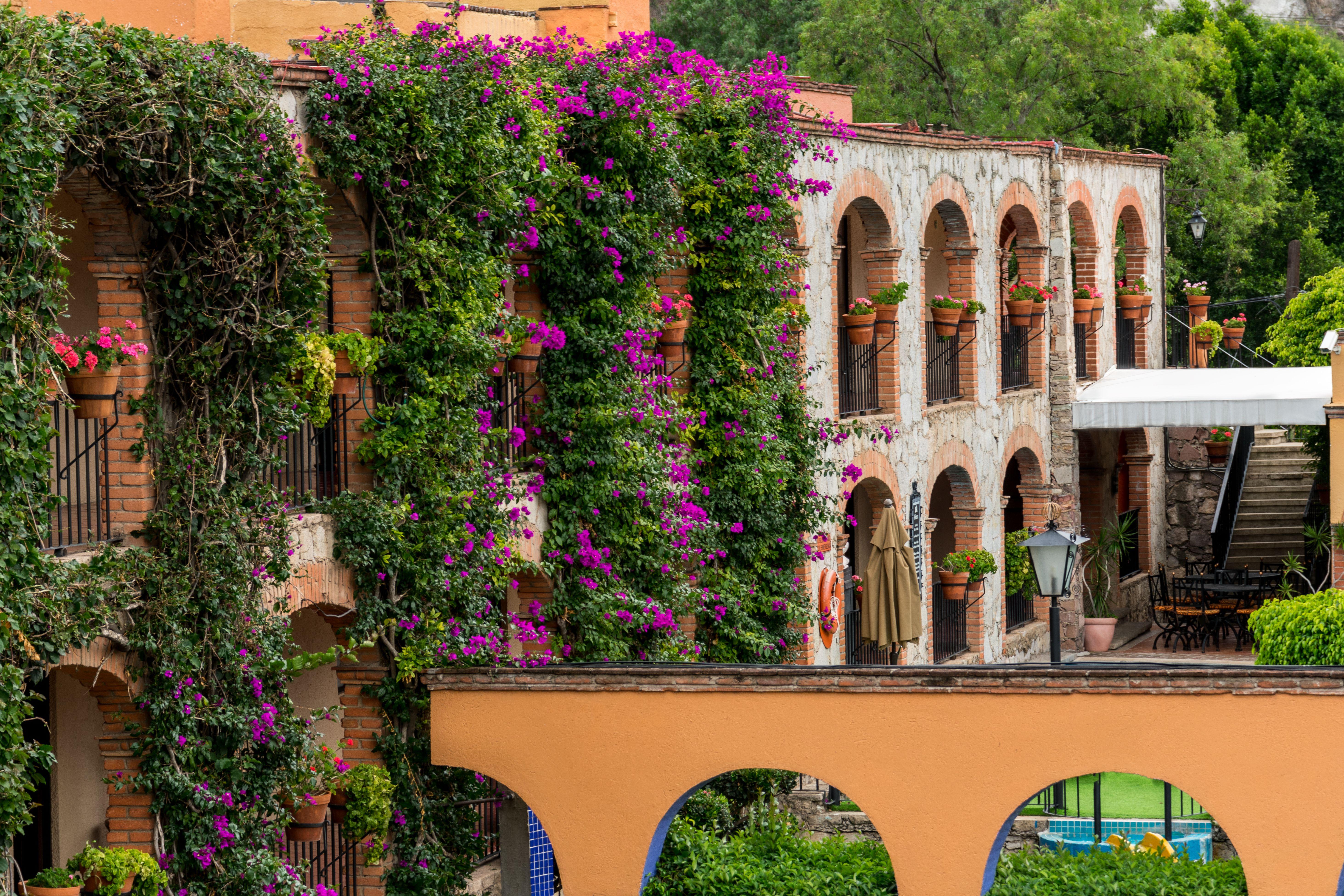 Hotel Abadia Plaza Guanajuato Luaran gambar