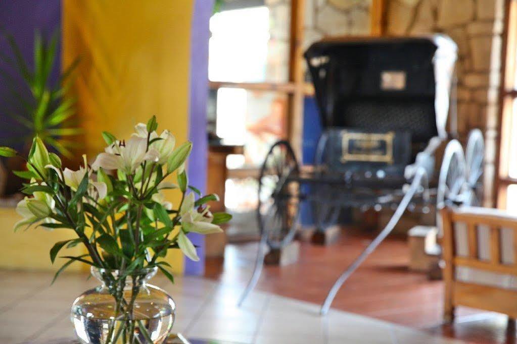 Hotel Abadia Plaza Guanajuato Luaran gambar